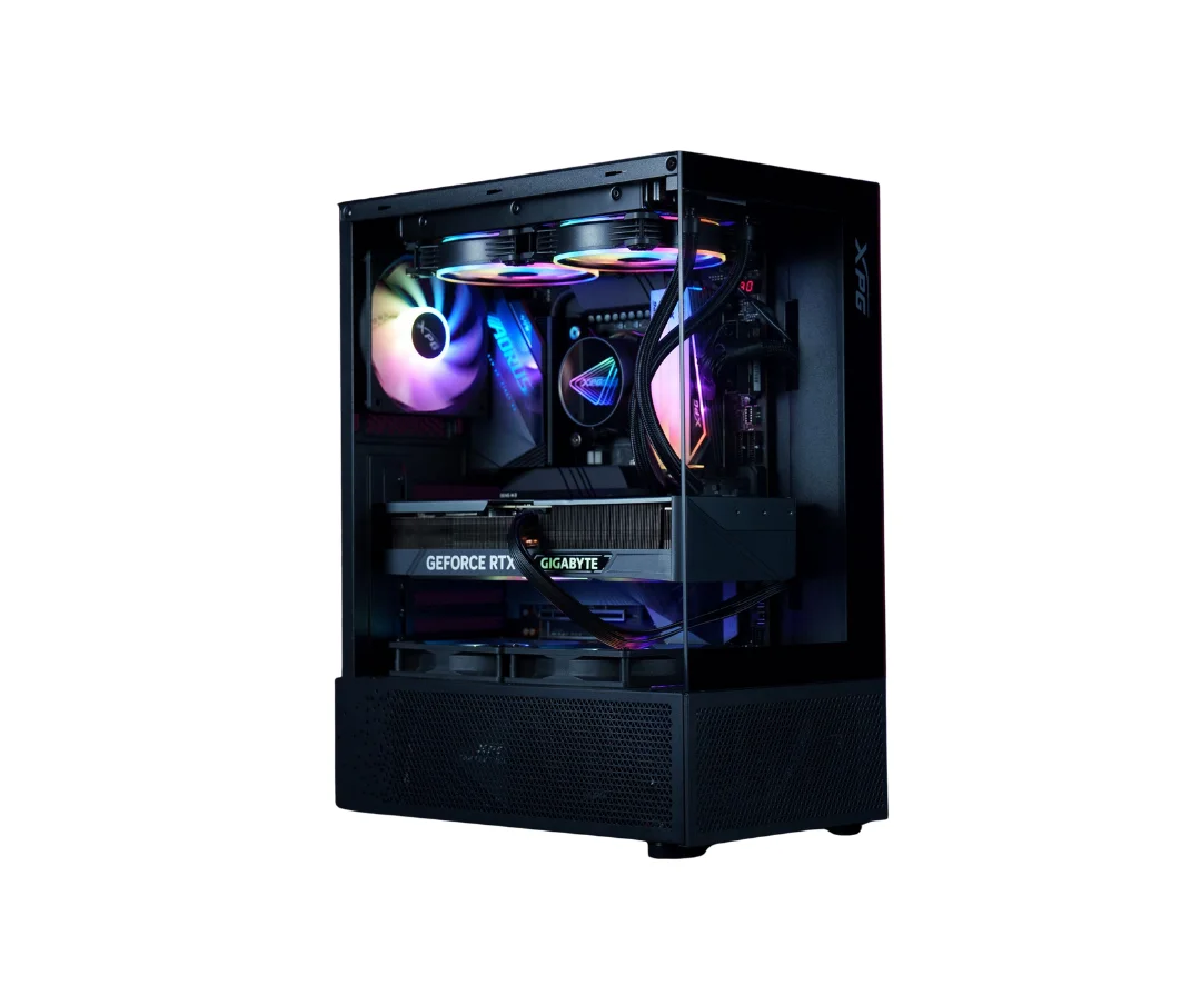 Raptor New Year Prime Gaming PC